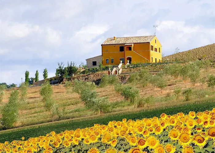 Lantställe Scuderi Recanati